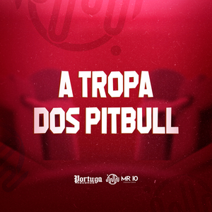 A TROPA DOS PITBULL