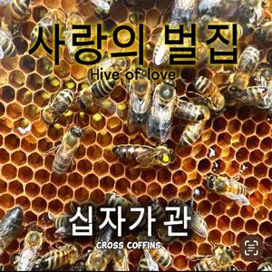 벌의 노래