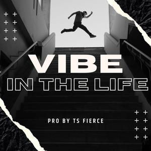 Vibe in the Life