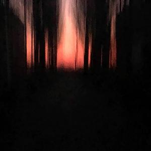 至少（When the COVID-19 breaks into our lives...）