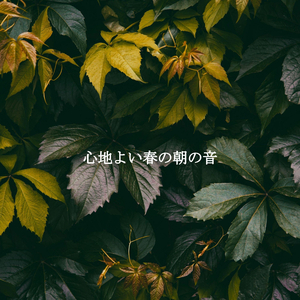 Fantastic Music for Rejuvenating Winter Air