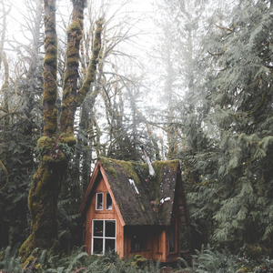 Melodía De Goteo Tranquilo