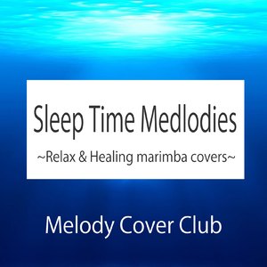 Shake it off (marimba cover version)