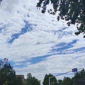 等你的日子不值一提