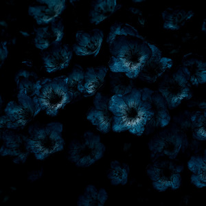 光の果て、闇の涯て