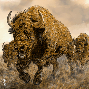 Flickering, Flashing