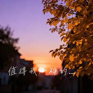 值得我心碎的人我不爱 (Cover 王佳音)