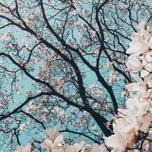 Rihanna-umbrella（remix）