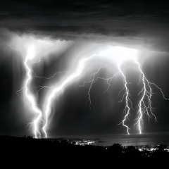 Plain Jane (武士道)