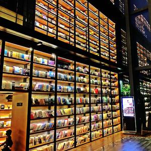 我的离开也是爱