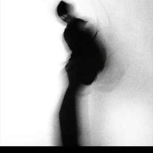 2023年12月19日 13_02_52