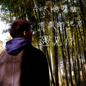 去有风的地方-Acoustic（cover.郁可唯）