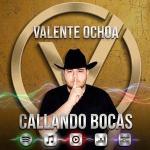 CALLANDO BOCAS