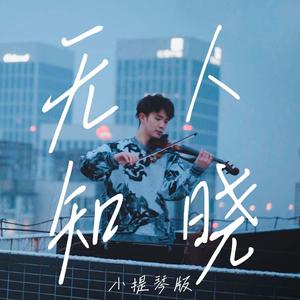 无人知晓 - 小提琴版