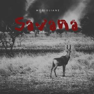 SAVANA