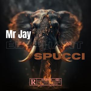 Éléphant (feat. MR_JAY)