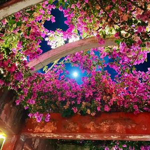 远在北方孤独的鬼（cover by花粥）~1