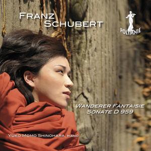 Sonate, D. 959: I. Allegro