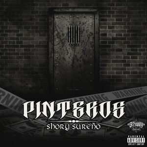 El Regreso del Scrappy
