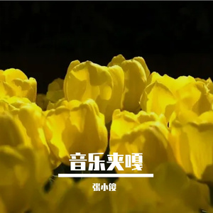 琴键上的光影诗