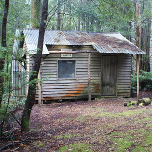 A Bushman's Daughter