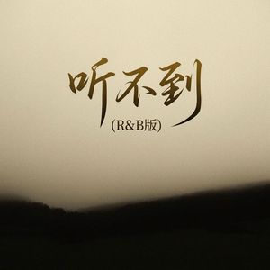 听不到R&B