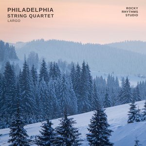 Winter (L'inverno) RV297 in F Minor: II. Largo (Arr. for String Quartet)