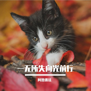 一无所失向光前行