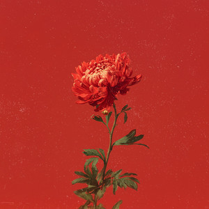 หัวใจฉัน ฉันดูแลเอง (GONE)