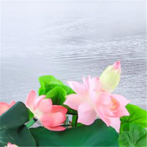 庄子《逍遥游》(下)