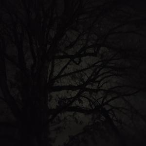 Till The Death of Me