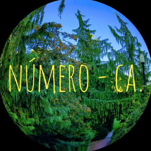 Número
