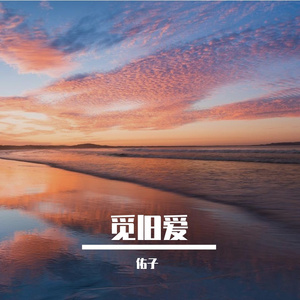 觅旧爱