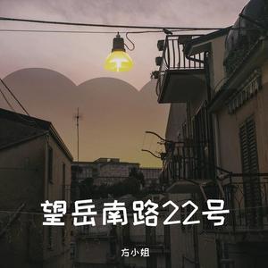 望岳南路22号