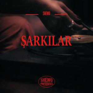 ŞARKILAR