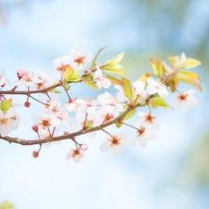 郁可唯-时间煮雨（林雄 remix）