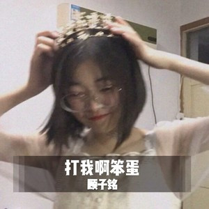 我不是在笑(DJ版)