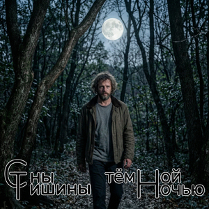 Тёмной Ночью