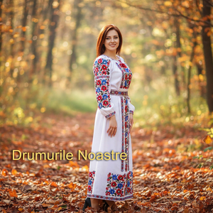 Drumurile Noastre