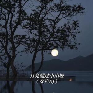 月亮翻过小山坡 (女声DJ)