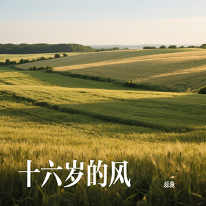 十六岁的风