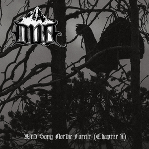 Voice 3 - Capercaillie: Forest Horse