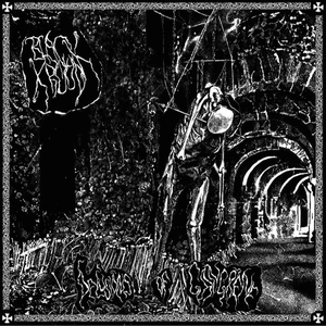 Seering Through the Skull of the Nephomancer