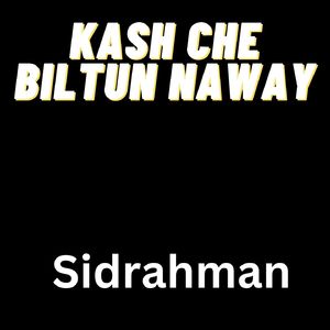 Kash Che Biltun Naway