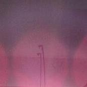 去你妈的爱去你妈的情