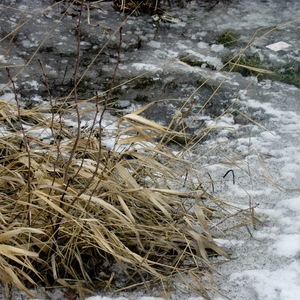 Беседа с пустотой