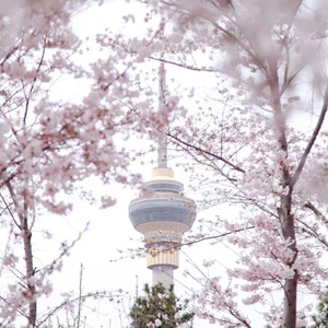 Crazy about you(狂恋你—小沈)