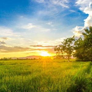 Música Ambiental Relajante