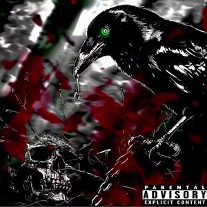 天下乌鸦一般黑