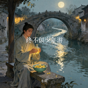 终不似少年游
